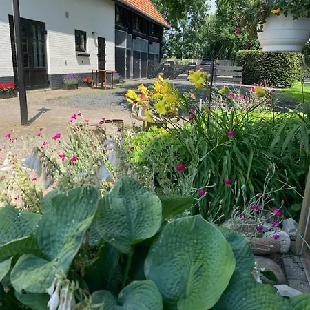 Atelier Onder De Notenboom *