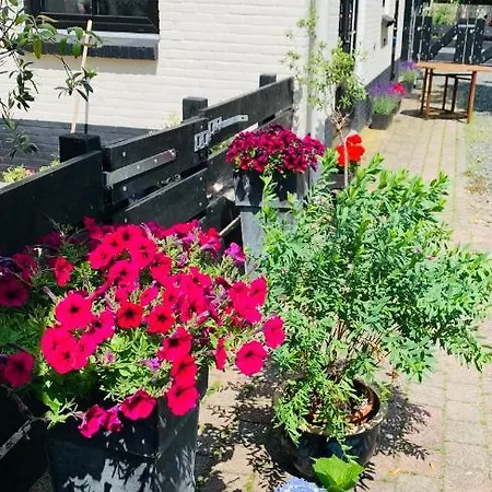 Atelier Onder De Notenboom Apartment