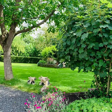 Atelier Onder De Notenboom * Appeltern