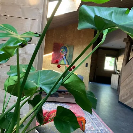 Atelier Onder De Notenboom