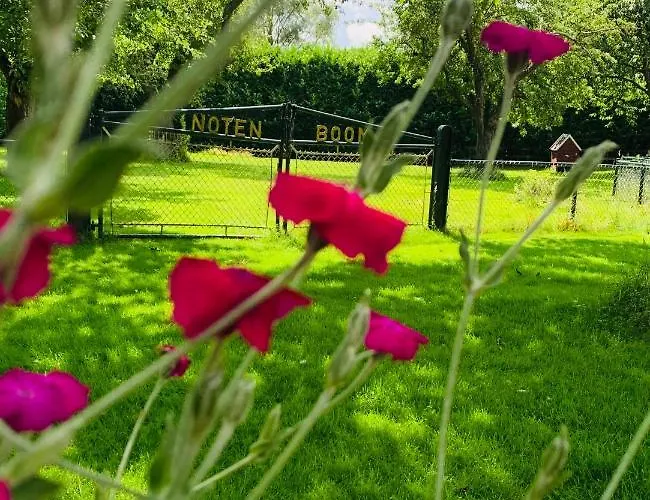 Atelier Onder De Notenboom * Appeltern