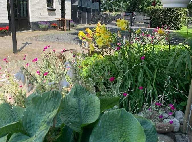 Atelier Onder De Notenboom *