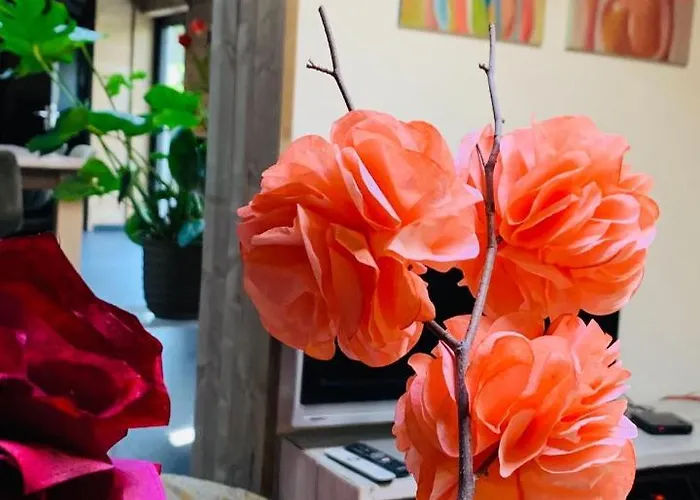 Atelier Onder De Notenboom * Appeltern