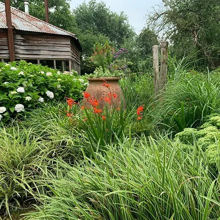 Atelier Onder De Notenboom Διαμέρισμα *