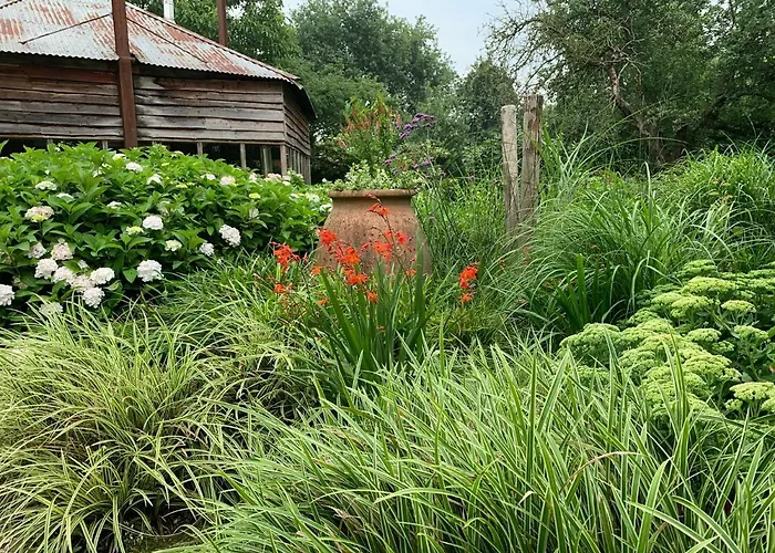 Atelier Onder De Notenboom Lägenhet *