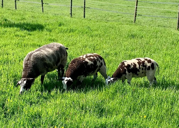 Atelier Onder De Notenboom *