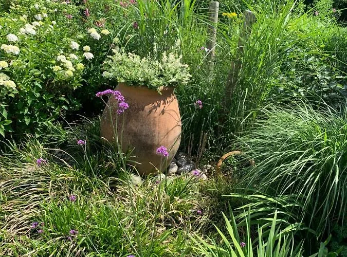 Lägenhet Atelier Onder De Notenboom *