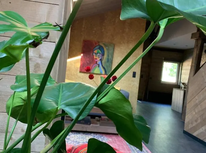 Atelier Onder De Notenboom